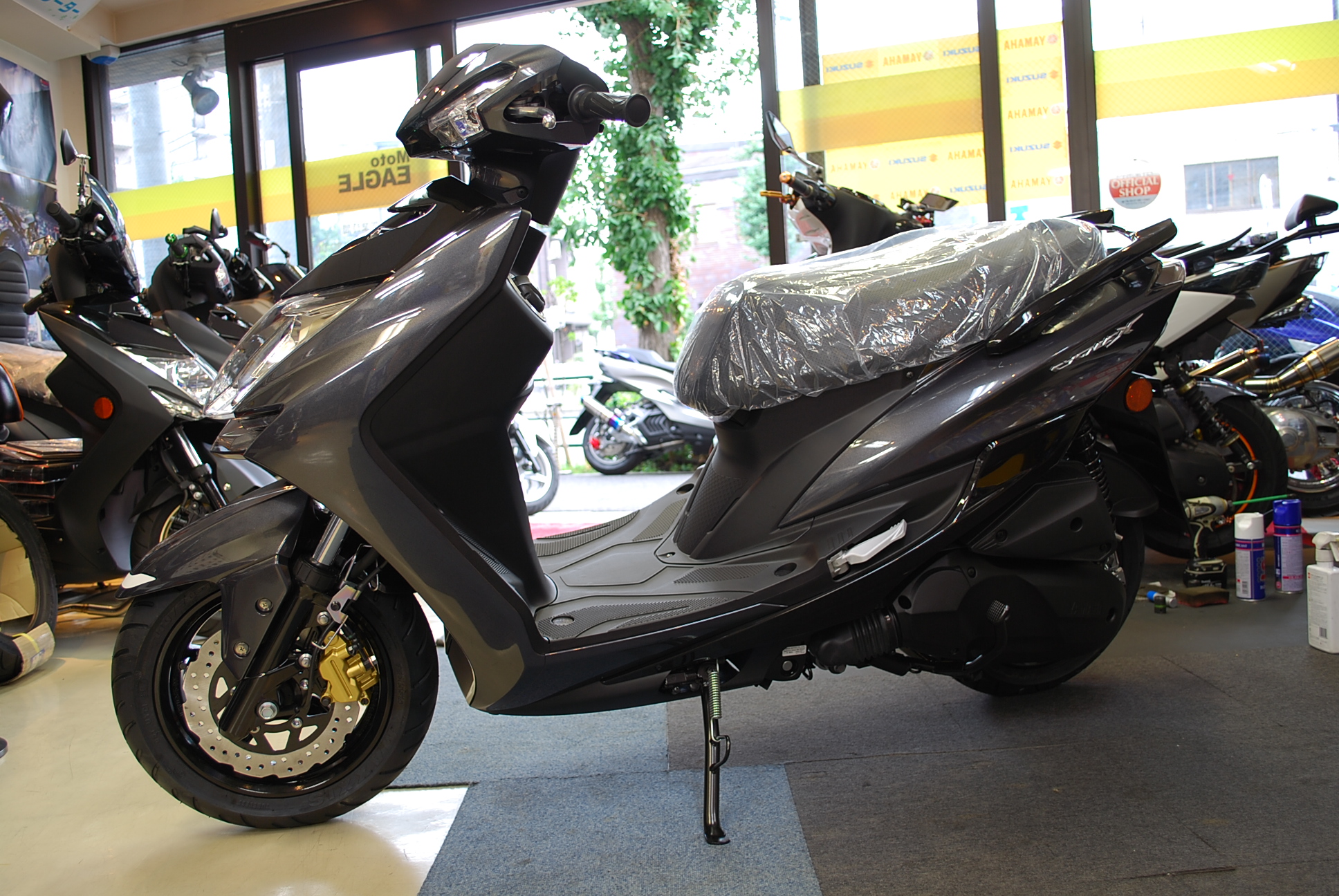 17 シグナス　各色 044